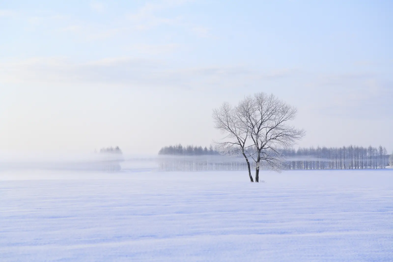 Asahikawa