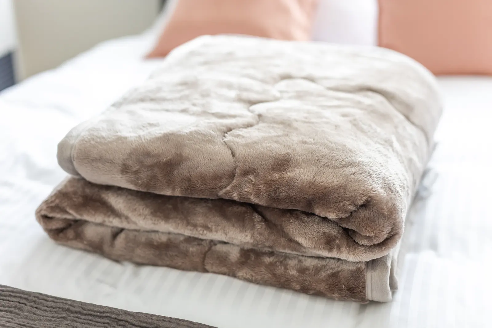 Cozy Stay Sapporo Maruyama 202 — 202号室