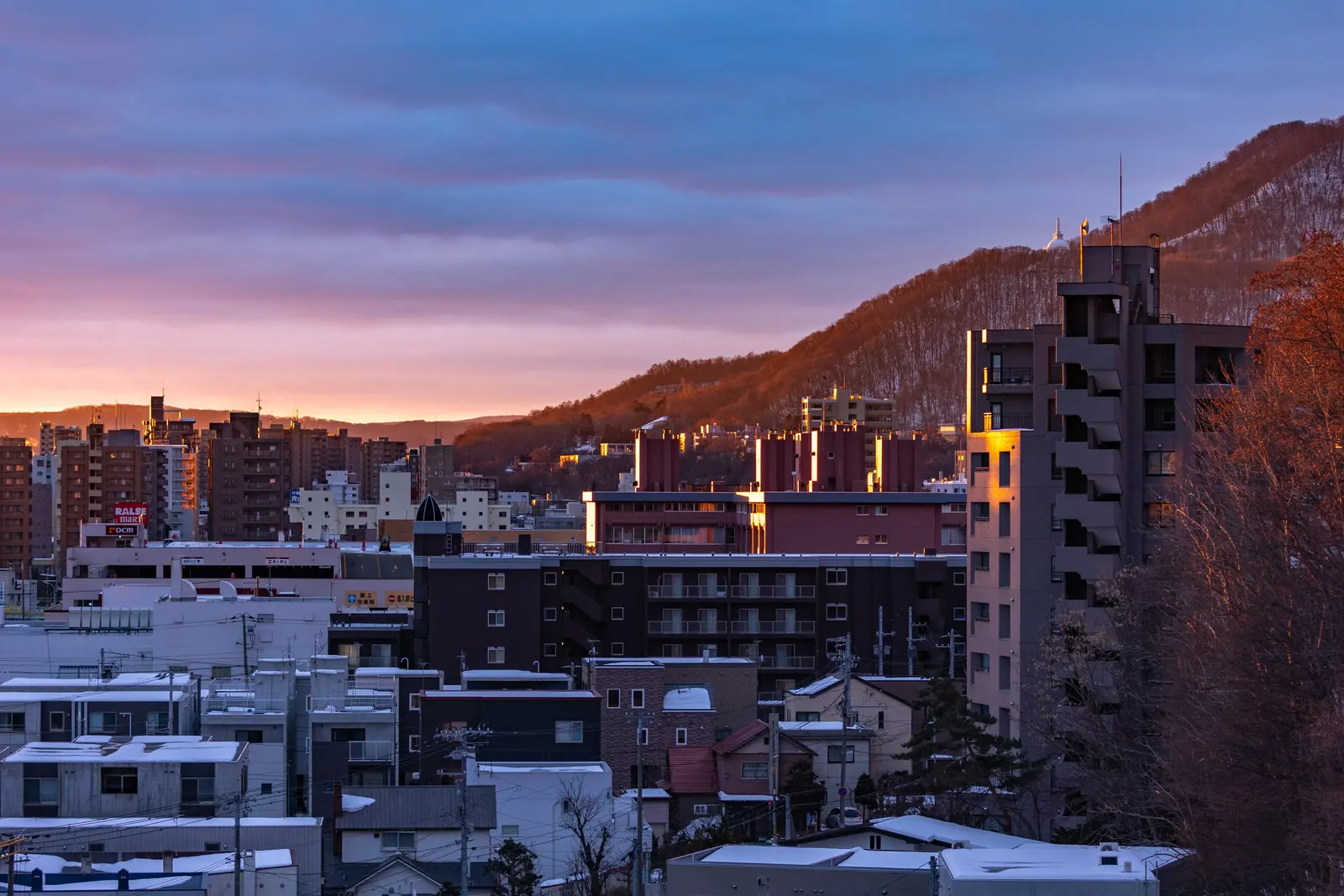 Cozy Stay Sapporo Maruyama 601 — 眺望