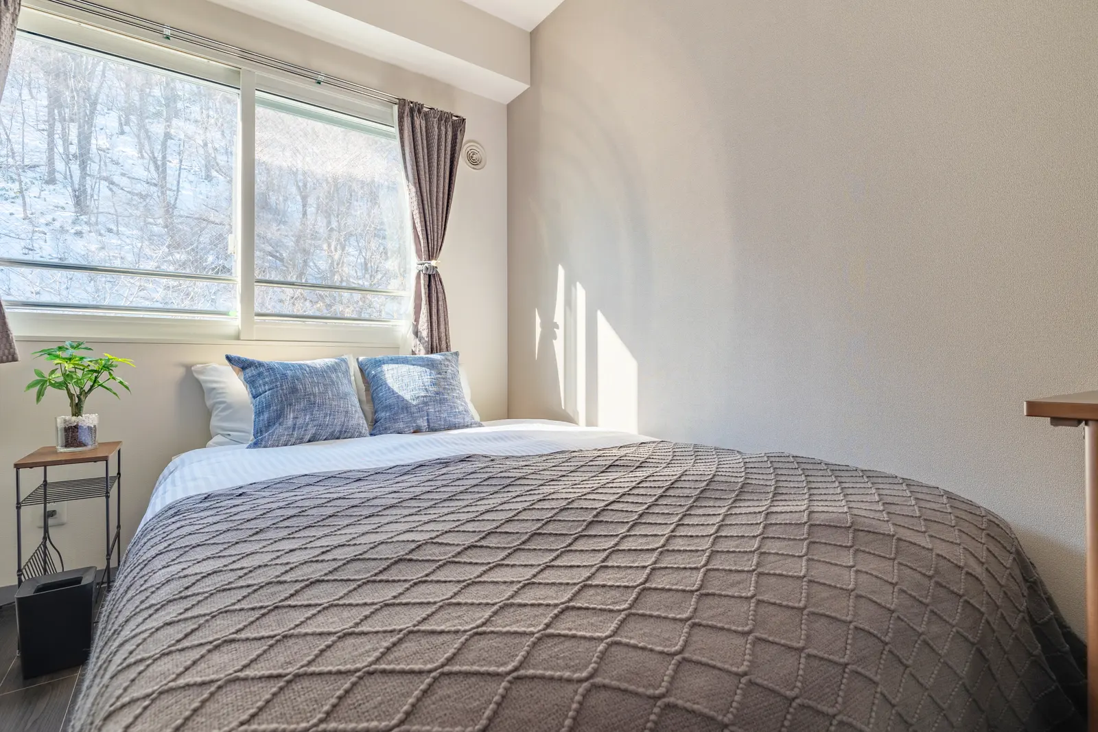 Cozy Stay Sapporo Maruyama 901 — 901号室